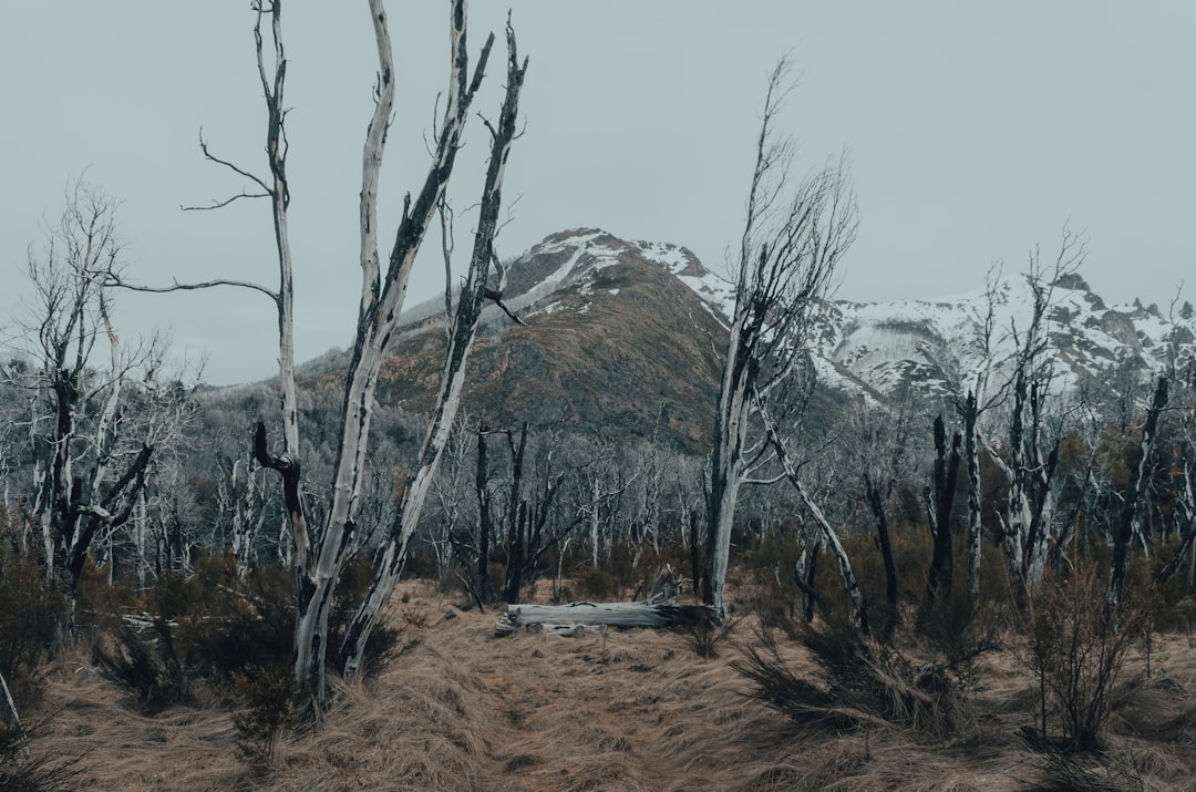 貨車司機落貨時被尾隨車輛撞傷算工傷嗎？如何索賠及賠償流程