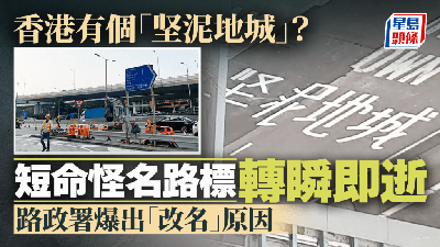 路政署道路維修責任全攻略：投訴方法一覽